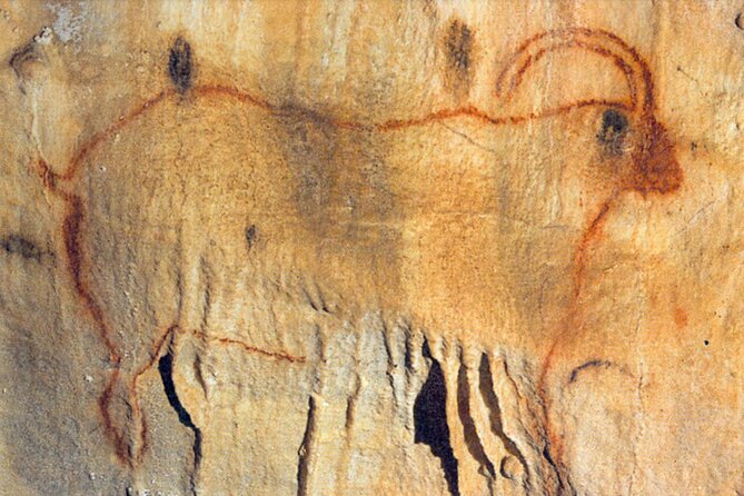 Sarlat : Private Tour to a Prehistoric Cave by Exploreo24 - The cave formations are more than background scenery