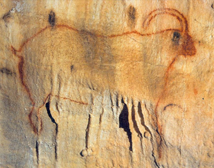 Sarlat : Private Tour to an Original Prehistoric Cave - The cave paintings are the main event