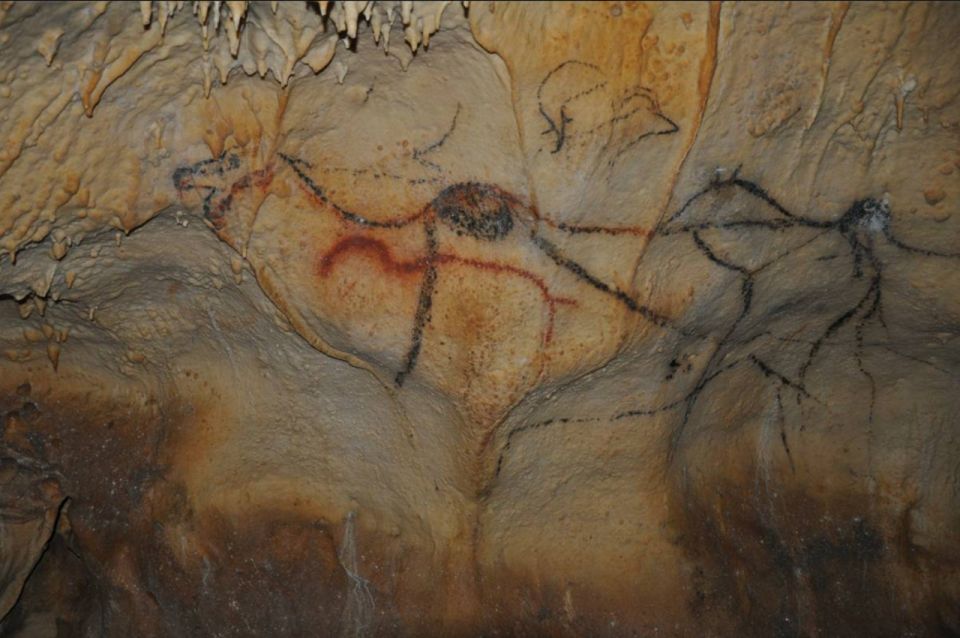 Sarlat : Private Tour to an Original Prehistoric Cave - Why a private tour matters here
