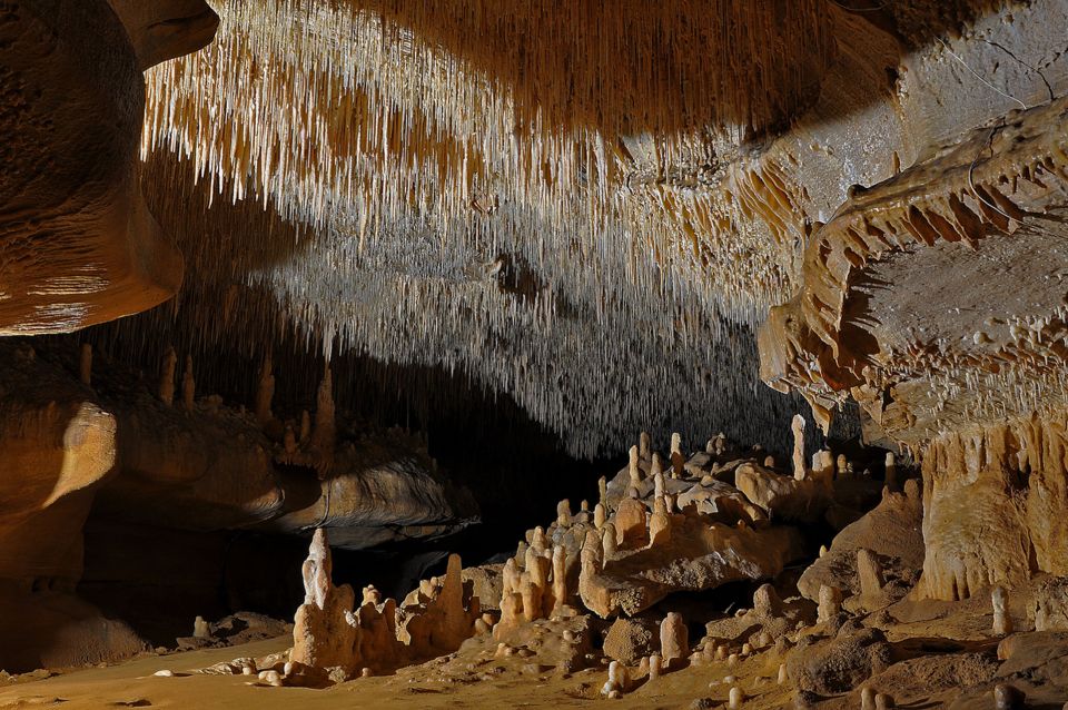 Sarlat : Private Tour to an Original Prehistoric Cave - What the $124 price really covers