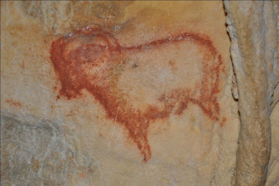 Sarlat : Private Tour to an Original Prehistoric Cave - Timing, language, and simple planning tips