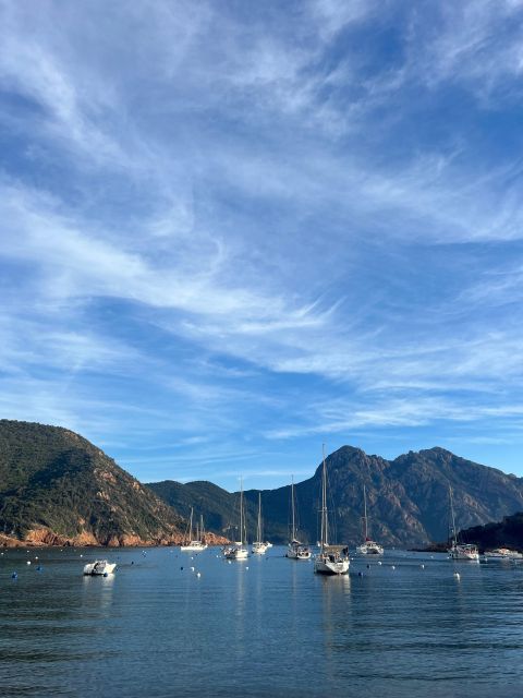 Scandola, Piana & Girolata - Price and value: is $141 for 6 hours a smart spend?