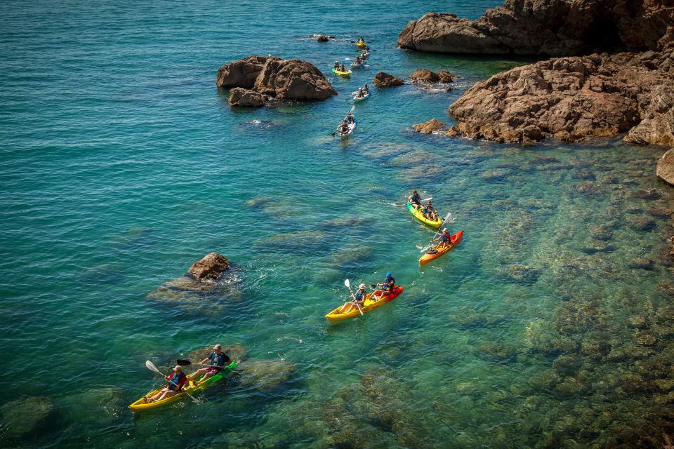 Sea kayak tour: Sète, the French pearl of the Mediterranean - Marine life viewing—and the optional swim moment