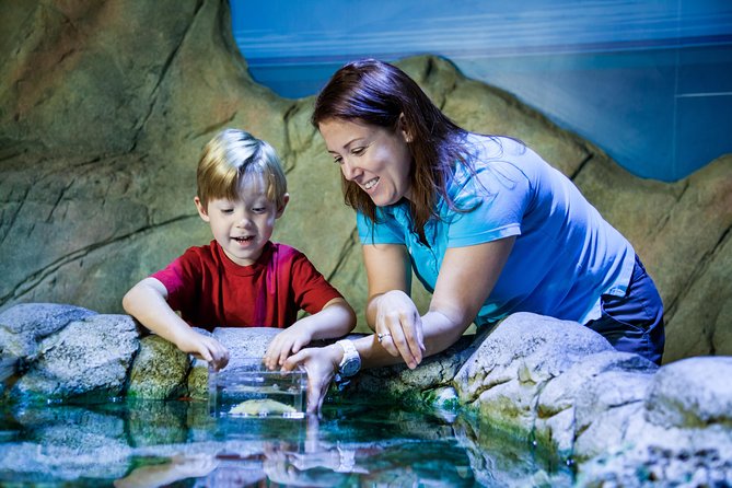 SEA LIFE Paris Val d'Europe Aquarium Entry Ticket - SEA LIFE Val dEurope in Marne-la-Vallée: what to expect
