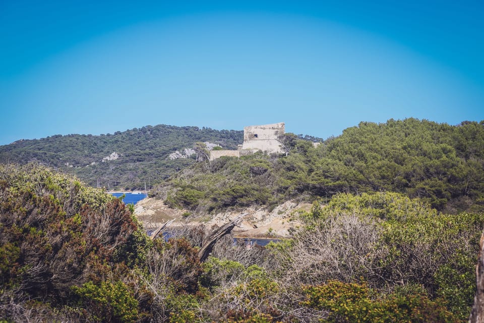 SEAYOU ESCAPE Porquerolles: Excursions & Meals Paradise - Should you book SEAYOU ESCAPE Porquerolles?