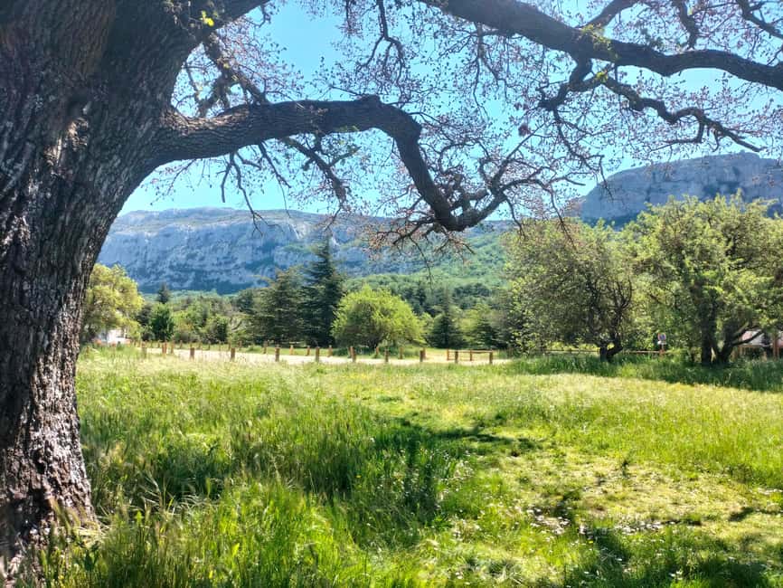 Secret Provence on Mary Magdalene’s Path - Saint-Maximin-la-Sainte-Baume and the basilica