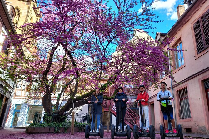 Segway Tours 2h in Colmar - The guide is the product: pacing, stories, and helpful coaching