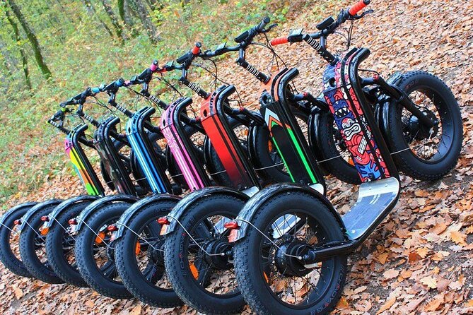 Seignosse electric scooter excursion - Getting Ready: Fat Scooters, Forest Paths, and Quick Coaching