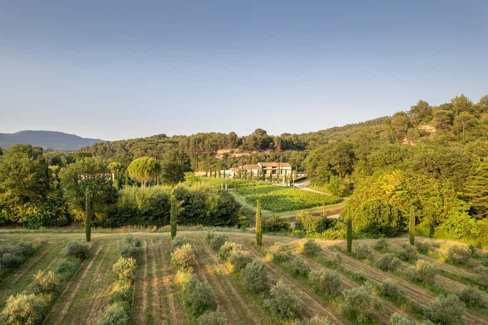 Self tour of the olive oil mill & olive oil tasting - Key things to know before you go