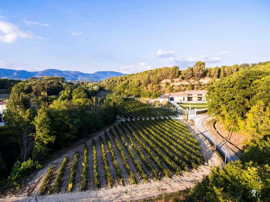 Self tour of the olive oil mill & olive oil tasting - Your 1-hour self-guided loop through the modern olive oil mill