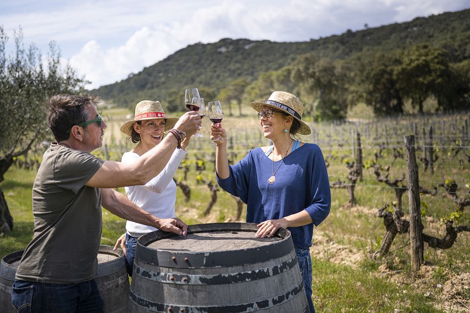 Sète: Half–Day Wine Tour - The first cellar, oak barrels, and a wide tasting