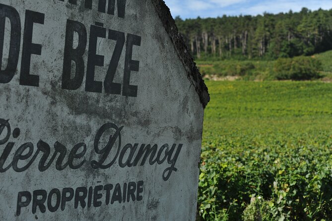 Small group Burgundy tour of Beaune with Wine Tasting from Dijon - La Moutarderie Fallot: the tasty Burgundy detour
