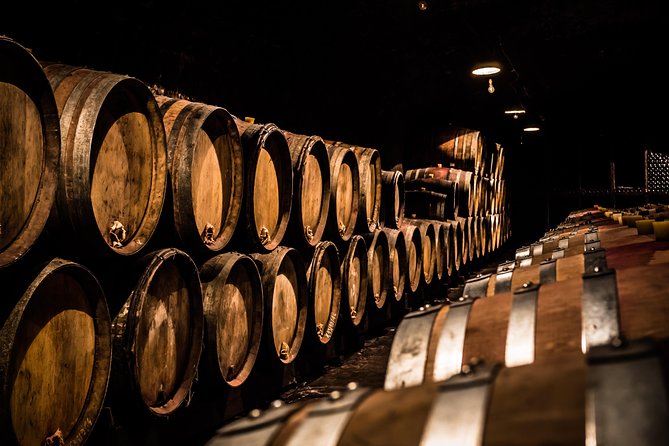 Small-Group Full-Day Tour of Côte de Nuits, Côte de Beaune Vineyards and Beaune Historical District - Key highlights to look for