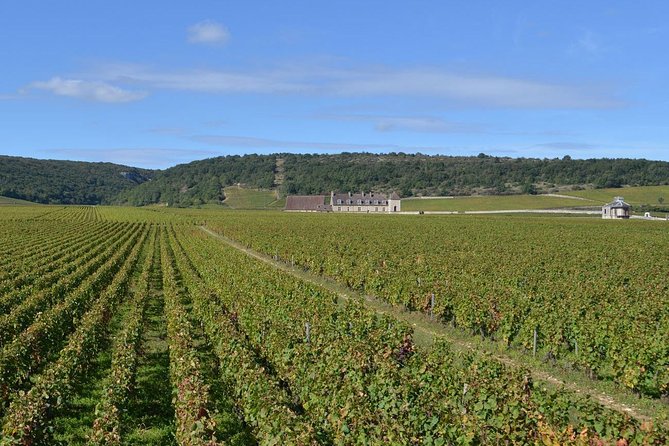 Small-Group Full-Day Tour of Côte de Nuits, Côte de Beaune Vineyards and Beaune Historical District - Côte de Nuits vs. Côte de Beaune: what you’re really learning in transit