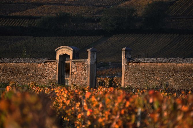 Small-Group Full-Day Tour of Côte de Nuits, Côte de Beaune Vineyards and Beaune Historical District - The second winery stop: why it can feel different from the first