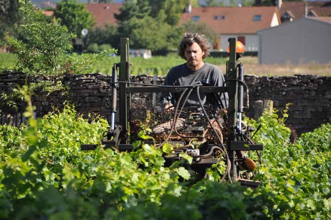 Small-Group Full-Day Tour of Côte de Nuits, Côte de Beaune Vineyards and Beaune Historical District - Guides, group size, and how to handle the van ride