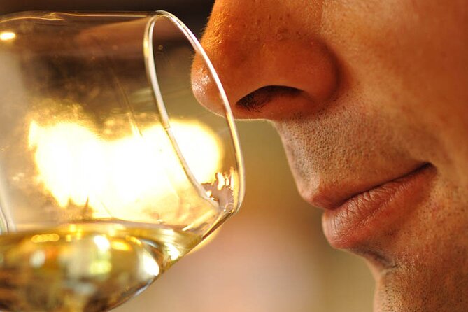 Small-Group Full-Day Tour of Côte de Nuits, Côte de Beaune Vineyards and Beaune Historical District - Price and value: what you’re paying for at $161.32