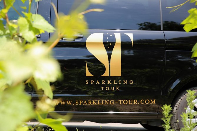 Small Group - Half Day Champagne Tour - Visit of 2 Small Producers/Growers - Your Guide Makes the Afternoon: From Humor to Answering Questions
