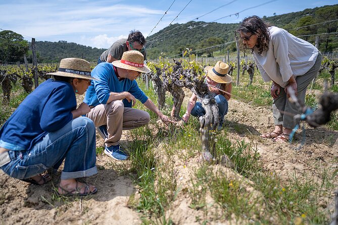 Small-Group Half-Day Languedoc Pic Saint-Loup Wine Tour from Montpellier - Winery Tastings: How the Workshop Actually Helps You Taste Better