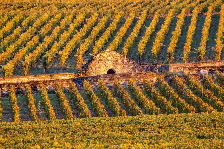Small group tour Morning in Côte de Beaune - Key points at a glance