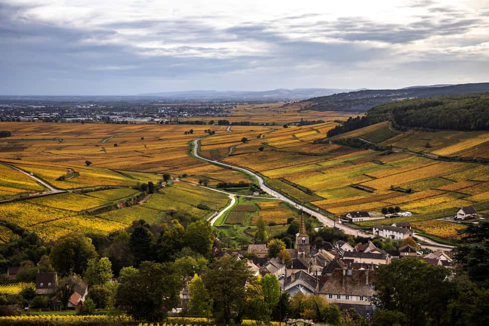Small group tour Morning in Côte de Beaune - Why this morning works well in Burgundy