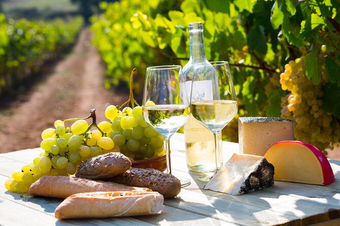 Small Group Wine Tasting Tour Côte de Beaune and Côte de Nuits - Key points to know before booking