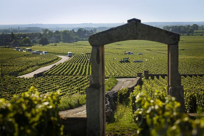 Small Group Wine Tasting Tour Côte de Beaune and Côte de Nuits - Aloxe-Corton and the Hill of Corton