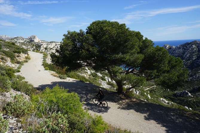 Sormiou Calanques National Park Electric Bike Tour from Marseille - Stop 2: Parc National des Calanques—Canal Shade and Pastré Castle Views