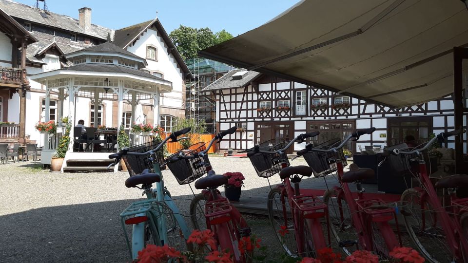 Strasbourg: 1-Day Bike Rental - Key things to know before you pedal