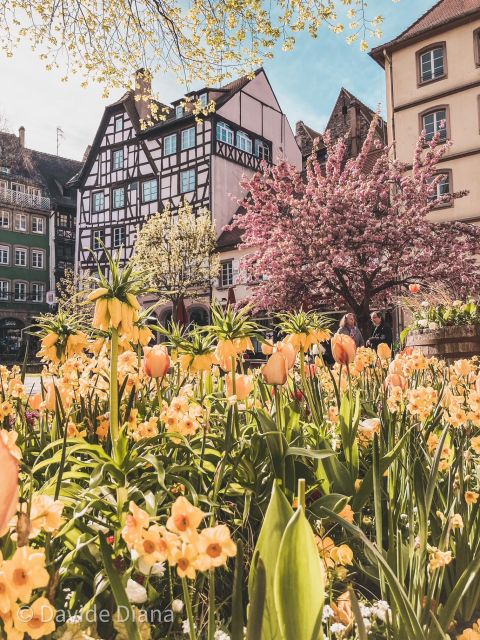 Strasbourg: Gastronomic and Walking Tour in the Old Town - Key points to know before booking