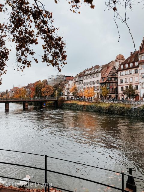 Strasbourg: Gastronomic and Walking Tour in the Old Town - Rue des Tonneliers and the city between the sights