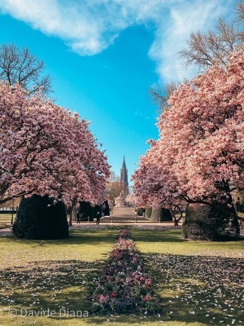 Strasbourg: Guided Historical Neighborhoods Walking Tour - Place de la République and Neustadt: The Start That Sets the Tone