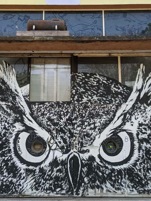 Strasbourg : Street-Art Tour - Photo Opportunities and Getting Local Tips That Actually Help
