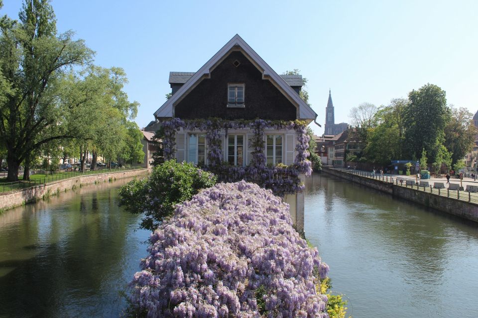 Strasbourg: Walking Tour with Local Guide - Getting Started: Meeting at Place d’Austerlitz and Where the Walk Begins