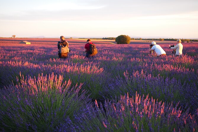 Sunset Lavender Tour from Aix-en-Provence - Key highlights you’ll care about