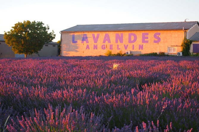 Sunset Lavender Tour from Aix-en-Provence - Meeting at Les Artistes and Getting Comfortable on the Ride