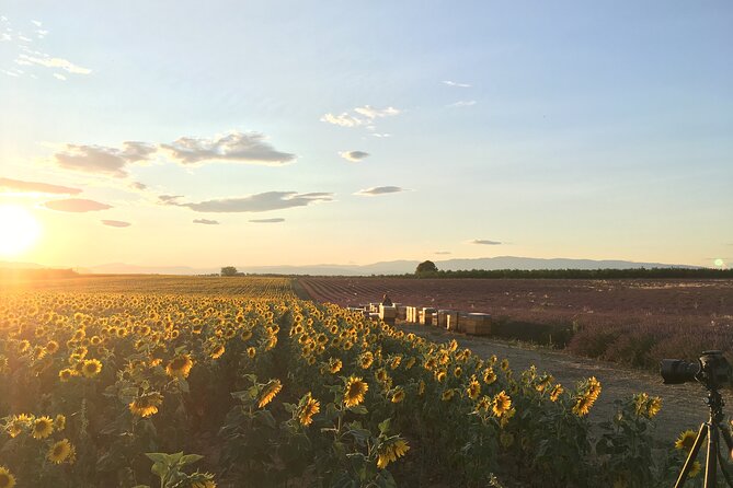 Sunset Lavender Tour from Aix-en-Provence - Valensole Village Break: Where You Can Eat and Shop for Lavender
