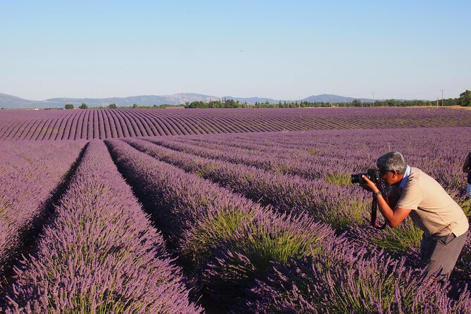 Sunset Lavender Tour in Valensole with pickup from Marseille - Weather and the Sunset Clock: The Real Rules of Valensole