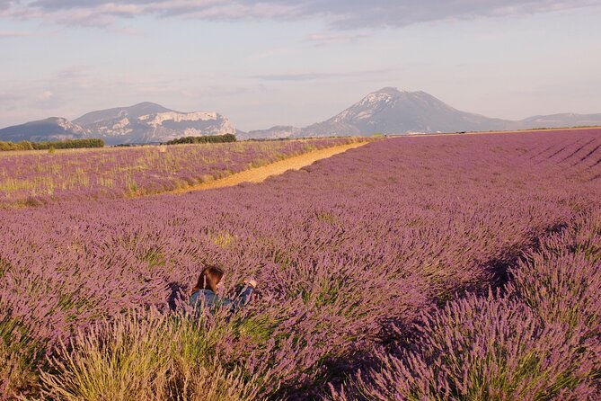 Sunset Lavender Tour in Valensole with pickup from Marseille - Stop 1: Plateau de Valensole at Golden Hour