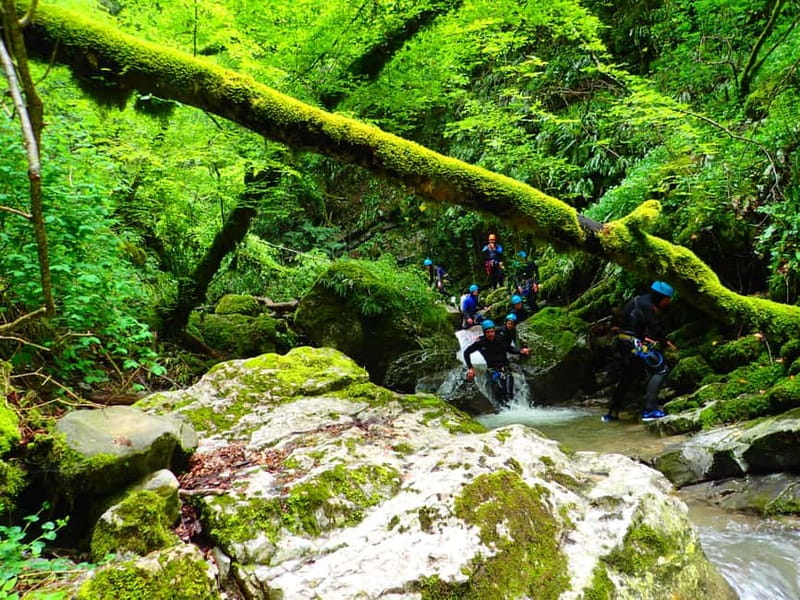 Talloires: Guided Canyoning Experience in Angon Canyon - Natural toboggans, slides, and aquatic passages
