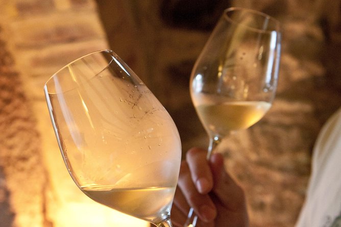 Taste Alsace: Tasting of our Alsace wines - No cellar tour - Key points at a glance