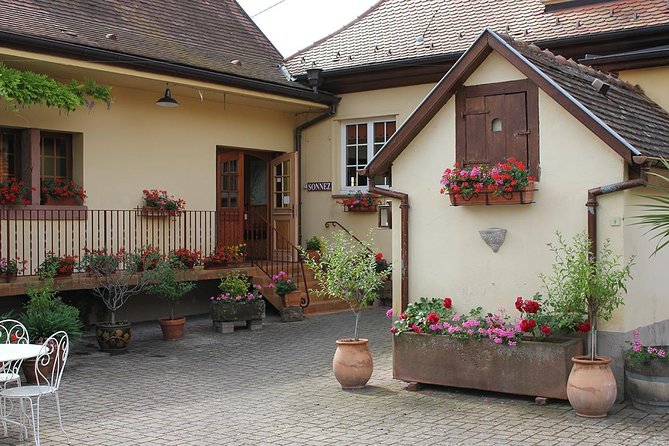 Taste Alsace: Tasting of our Alsace wines - No cellar tour - A short Alsace tasting near Colmar