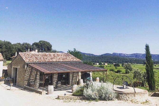 Tasting Bandol Wines & Visit of Cellar (in English) - Key things that make this Bandol wine tour worth your time