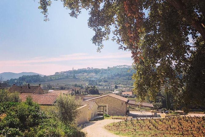 Tasting Bandol Wines & Visit of Cellar (in English) - Why Bandol wine tastes different around La Cadière-d’Azur