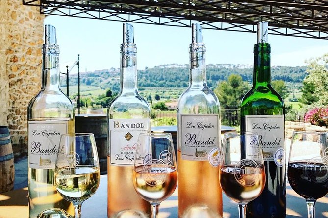 Tasting Bandol Wines & Visit of Cellar (in English) - The tasting flight: Vin de Pays du Caume plus Bandol rosé, red, and white