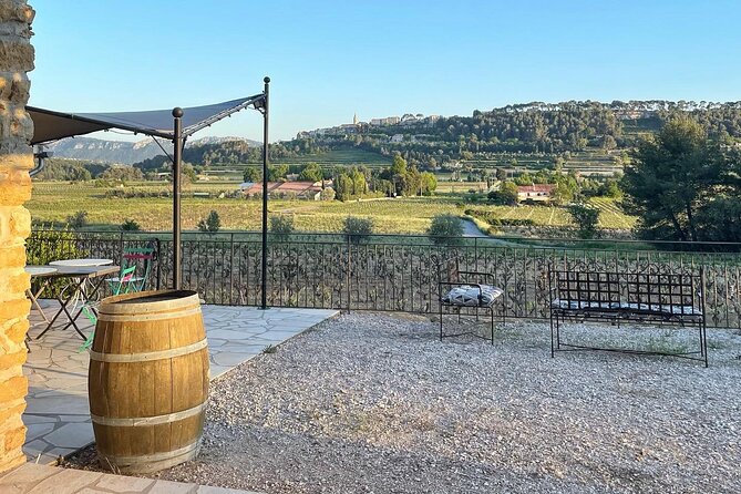 Tasting Bandol Wines & Visit of Cellar (in English) - English guidance and a small group that actually talks