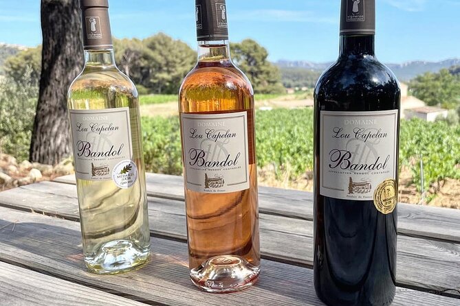 Tasting Bandol Wines & Visit of Cellar (in English) - Price and value: what $14.38 buys you in Bandol wine terms