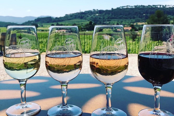 Tasting Bandol Wines & Visit of Cellar (in English) - The winery walk and process talk (about 30 minutes)