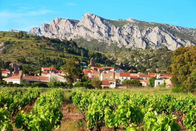 tasting workshop of 6 to 8 wines with charcuterie chocolate cheese - Key Highlights You Should Care About
