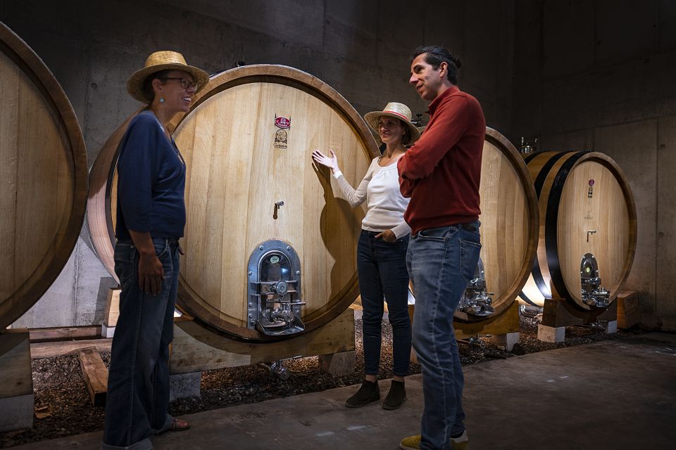 The Châteaux of Grès de Montpellier & Wine Tasting - Who this tour suits best